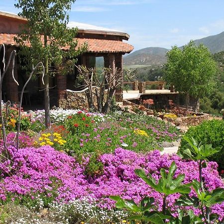 Quinta Maria En La Ruta Del Vino Bed & Breakfast Valle de Guadalupe Ngoại thất bức ảnh