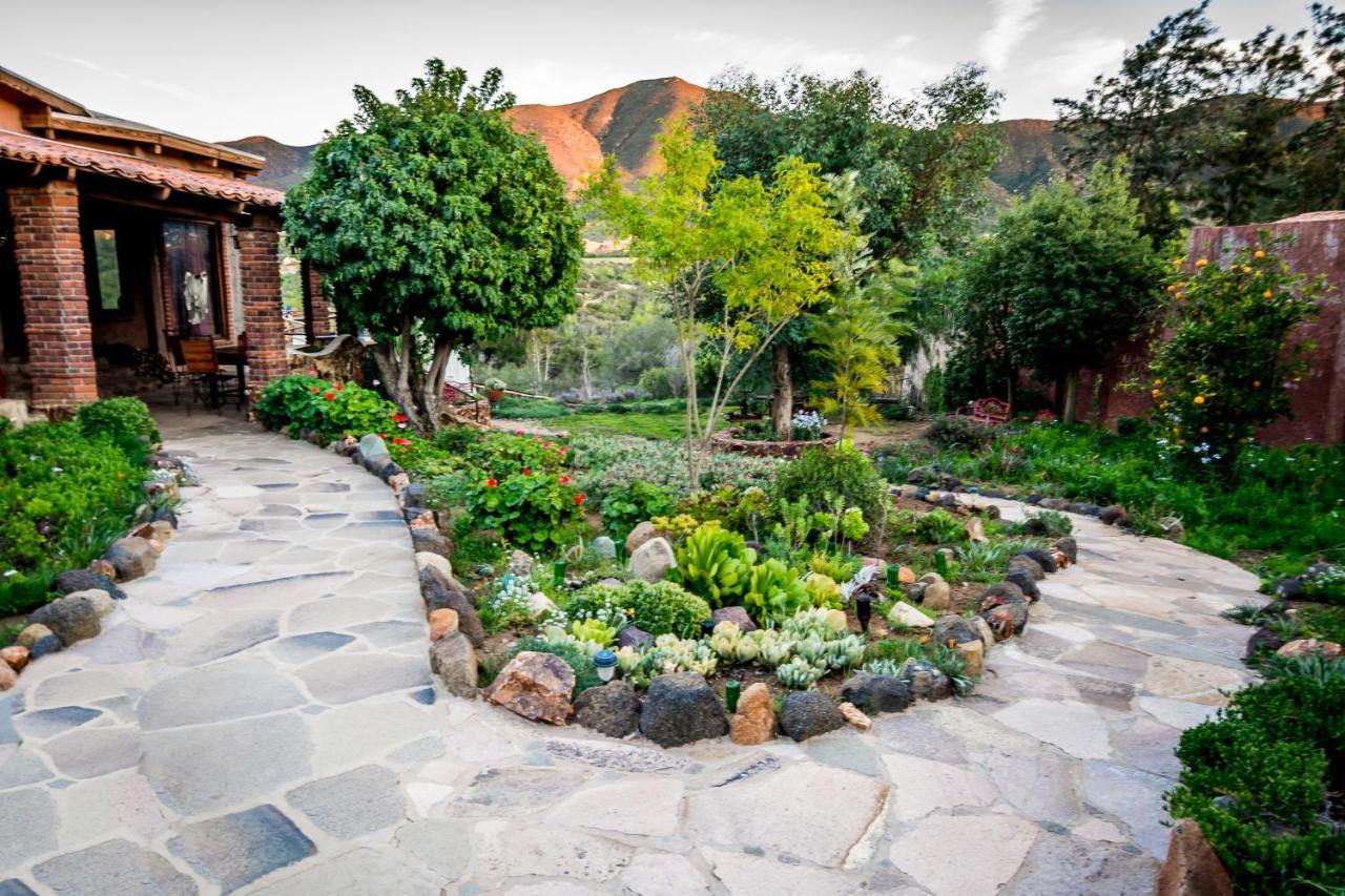 Quinta Maria En La Ruta Del Vino Bed & Breakfast Valle de Guadalupe Ngoại thất bức ảnh