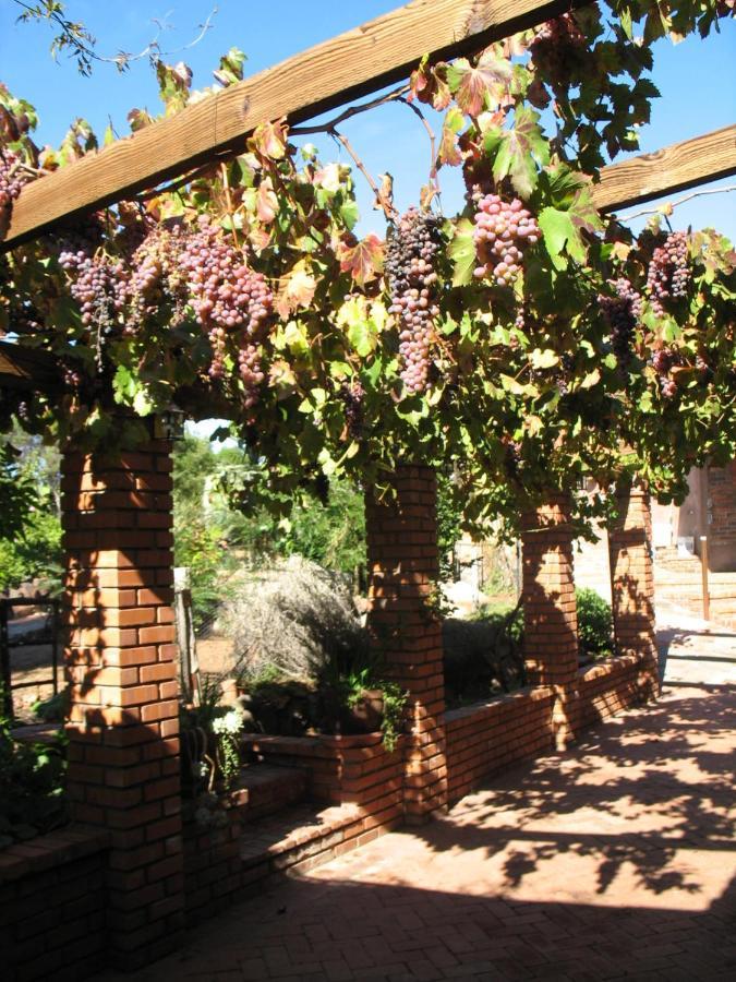 Quinta Maria En La Ruta Del Vino Bed & Breakfast Valle de Guadalupe Ngoại thất bức ảnh