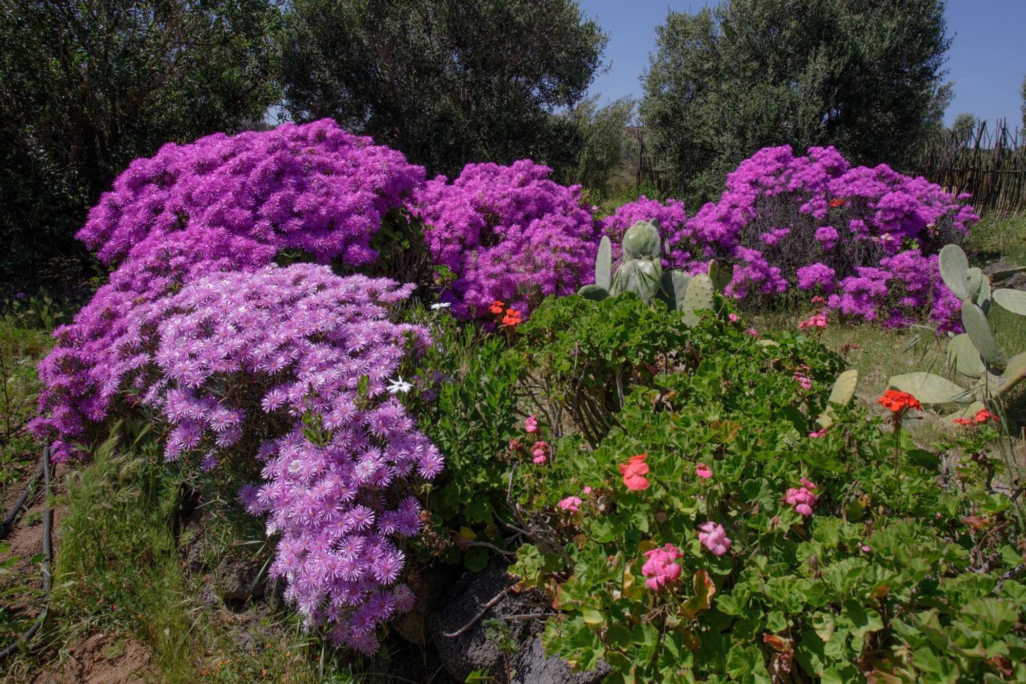 Quinta Maria En La Ruta Del Vino Bed & Breakfast Valle de Guadalupe Ngoại thất bức ảnh