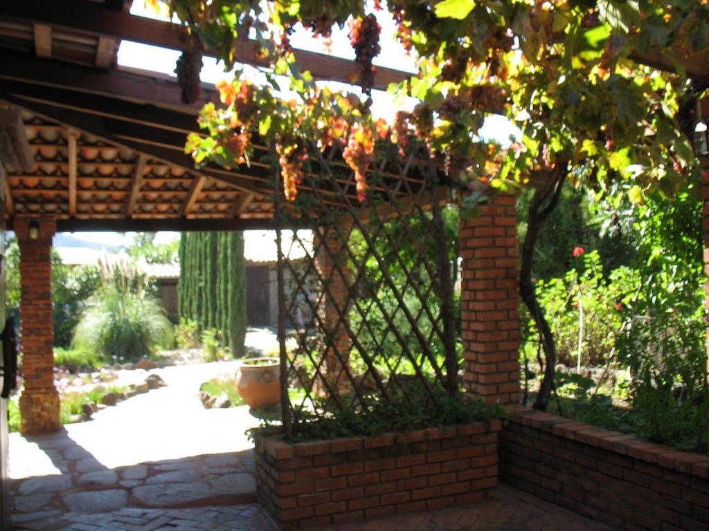 Quinta Maria En La Ruta Del Vino Bed & Breakfast Valle de Guadalupe Ngoại thất bức ảnh