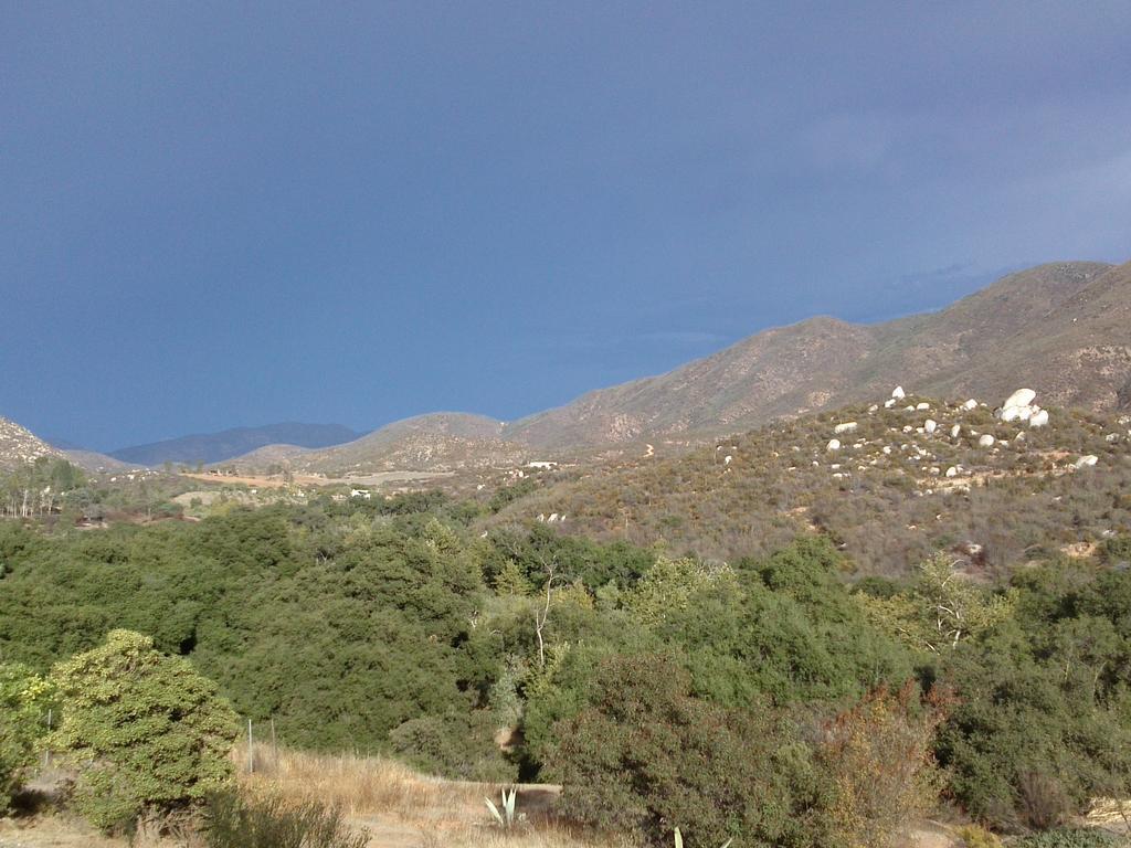 Quinta Maria En La Ruta Del Vino Bed & Breakfast Valle de Guadalupe Ngoại thất bức ảnh