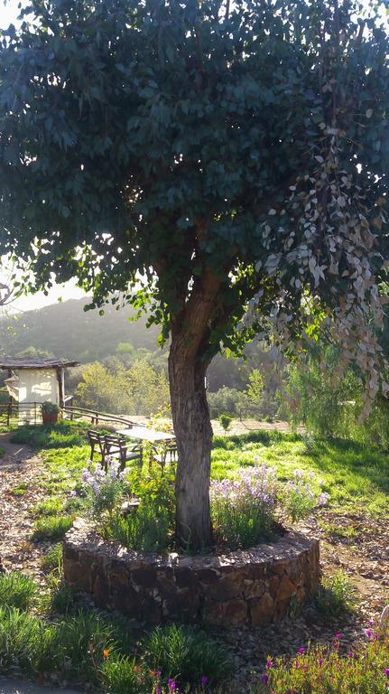 Quinta Maria En La Ruta Del Vino Bed & Breakfast Valle de Guadalupe Ngoại thất bức ảnh