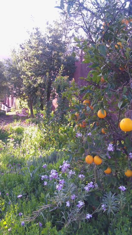 Quinta Maria En La Ruta Del Vino Bed & Breakfast Valle de Guadalupe Ngoại thất bức ảnh