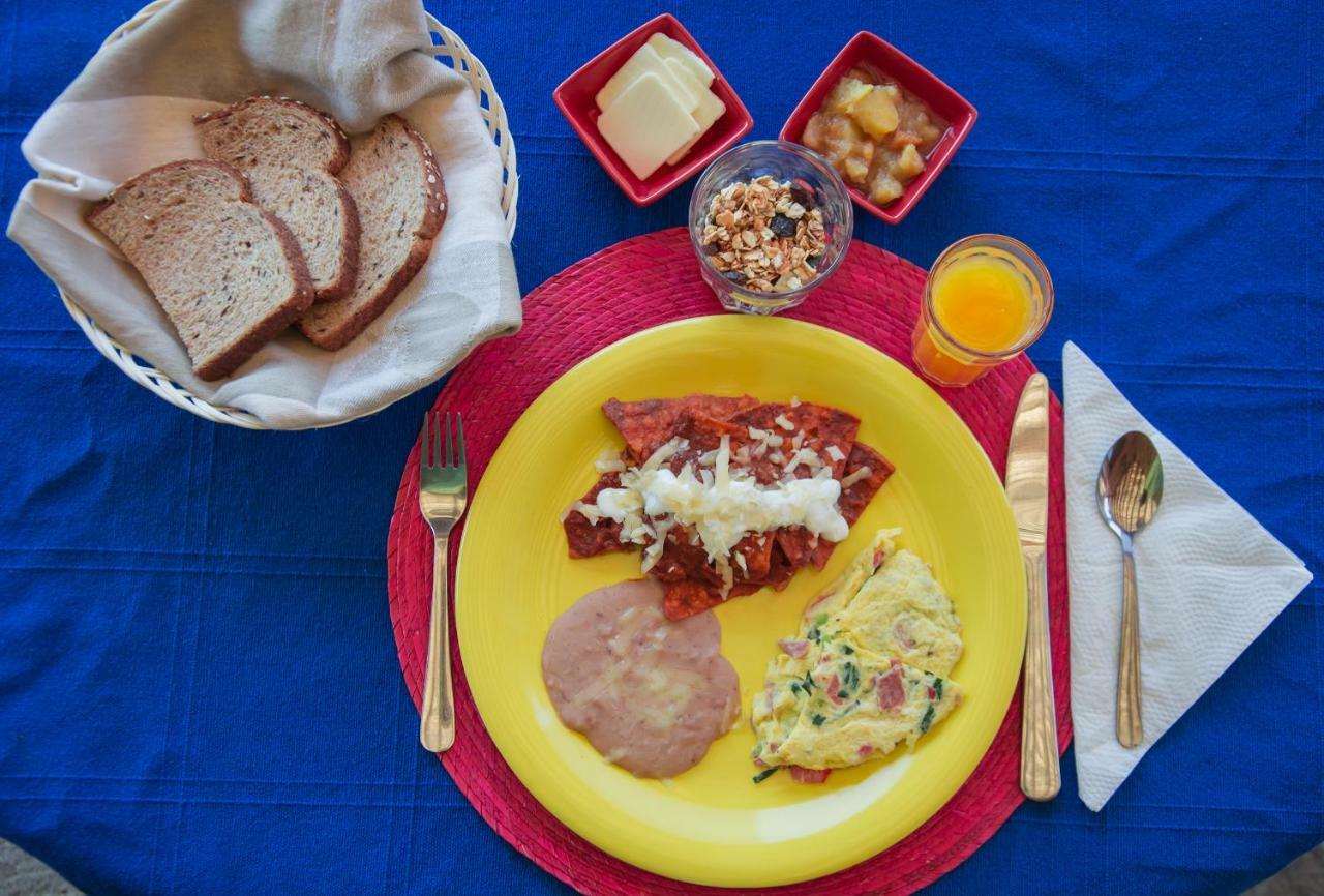 Quinta Maria En La Ruta Del Vino Bed & Breakfast Valle de Guadalupe Ngoại thất bức ảnh